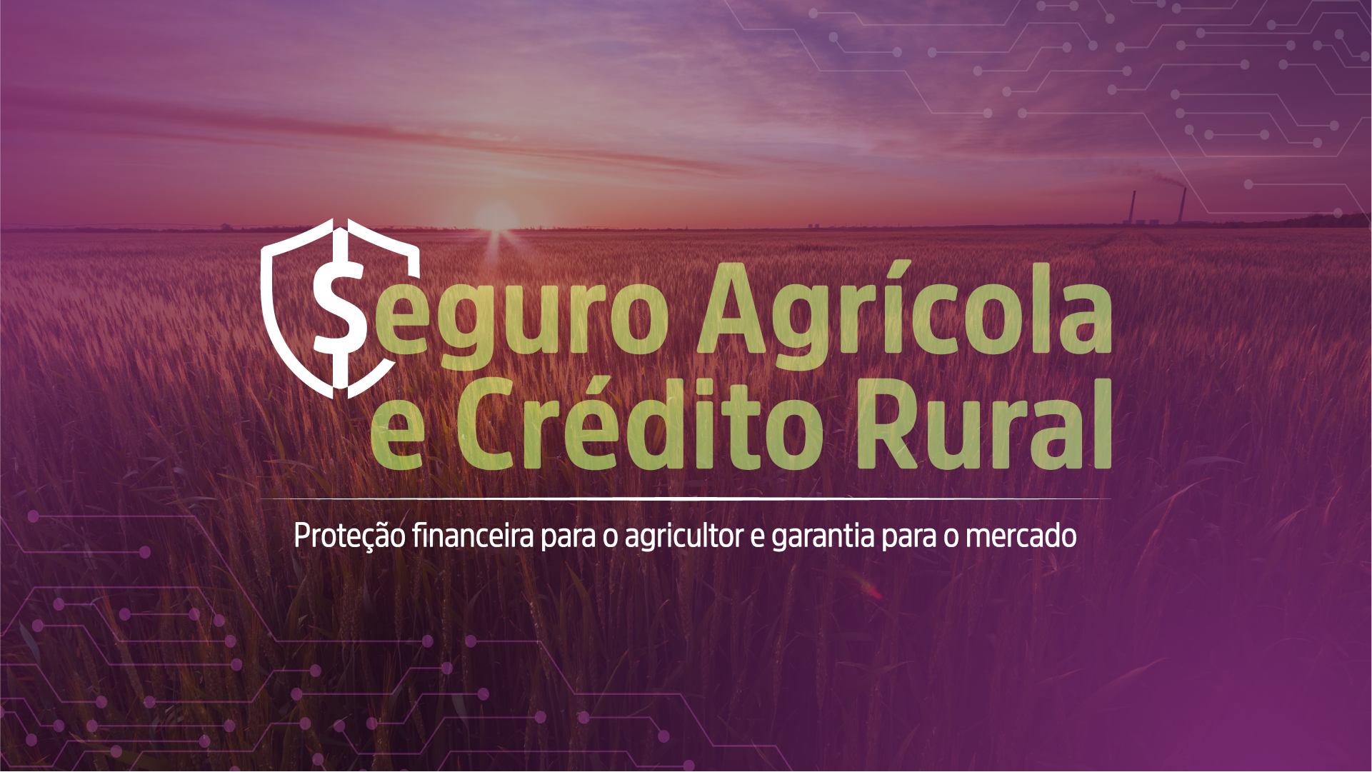 Provas-Whitepaper (2)