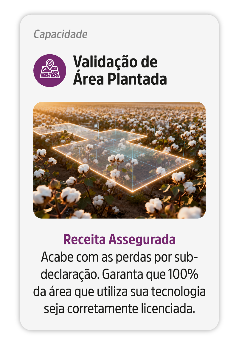 Capacidade_2-v2