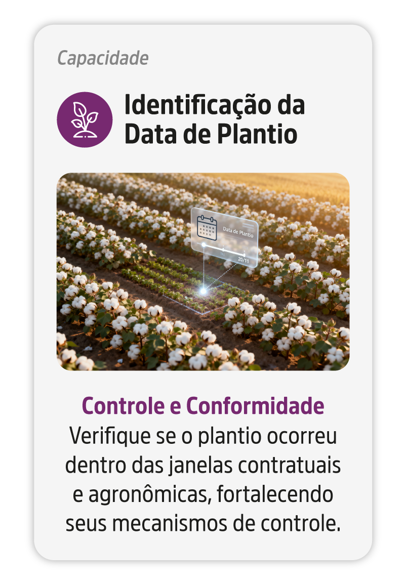 Capacidade_3-v2