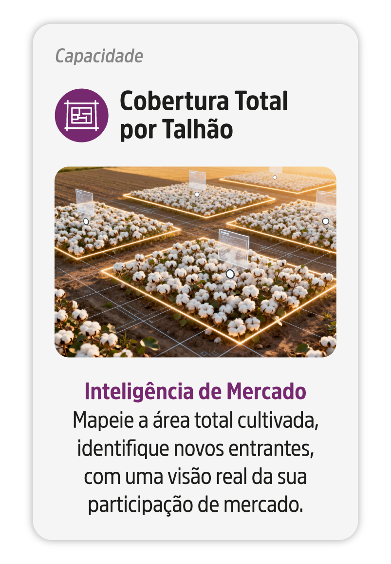 Capacidade_4-v2
