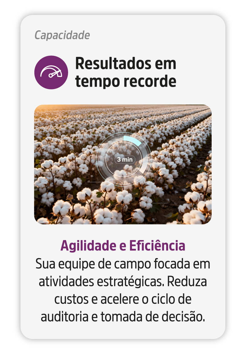 Capacidade_5-v2