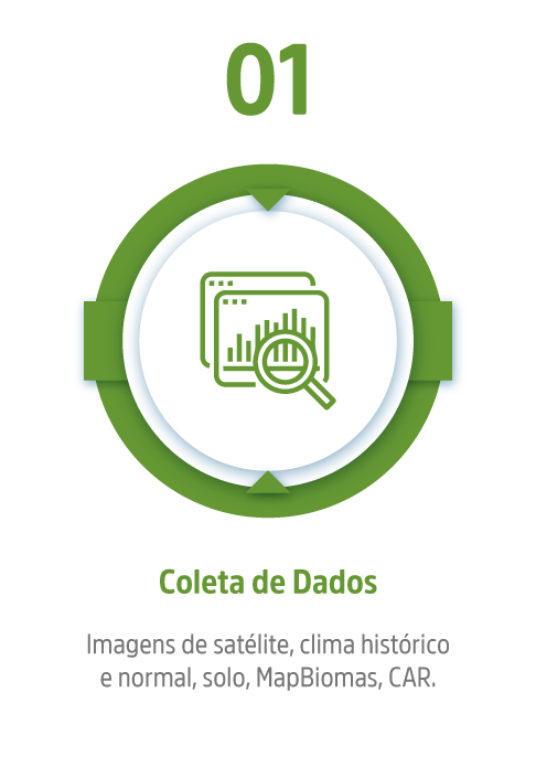 Infográfico_mobile-1