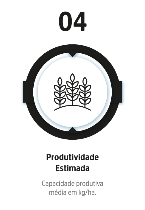 Infográfico_mobile-4